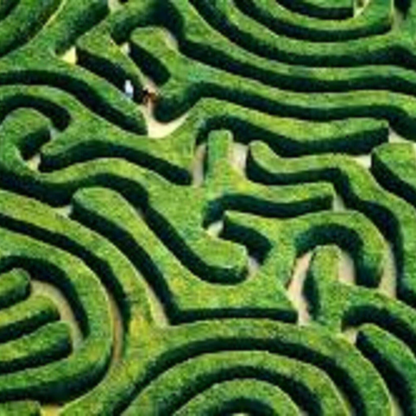 Maze