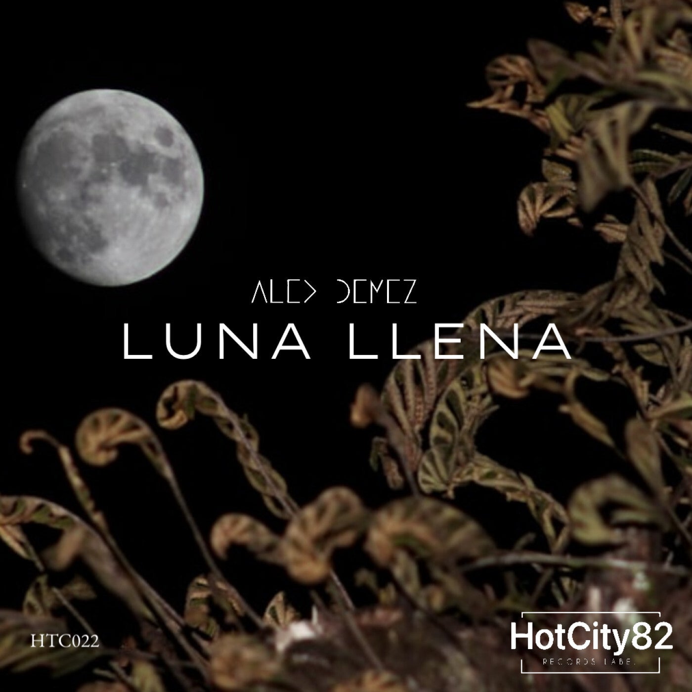 Luna llena