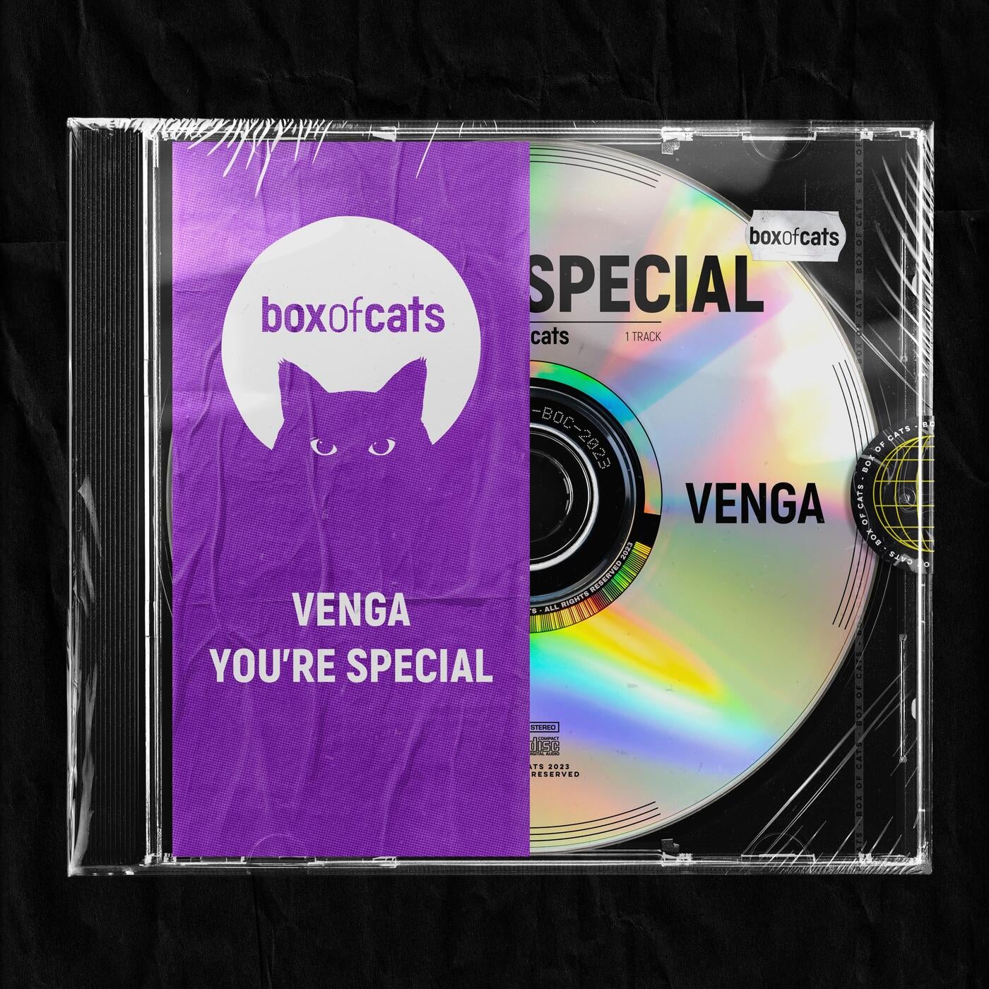 You're Special (Extended Mix)