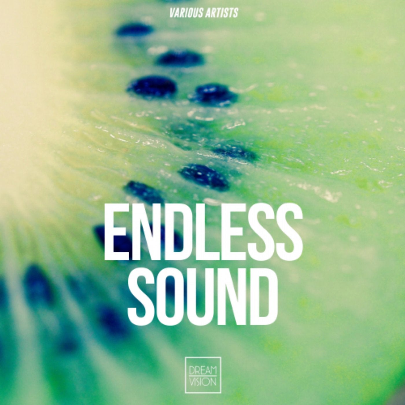 Endless Sound