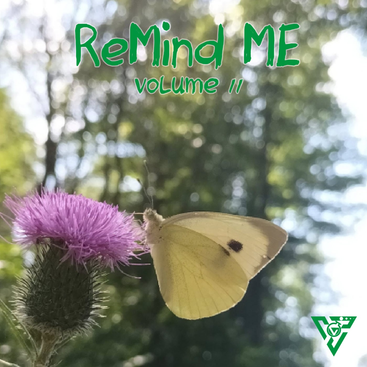 Remind Me, Vol.11