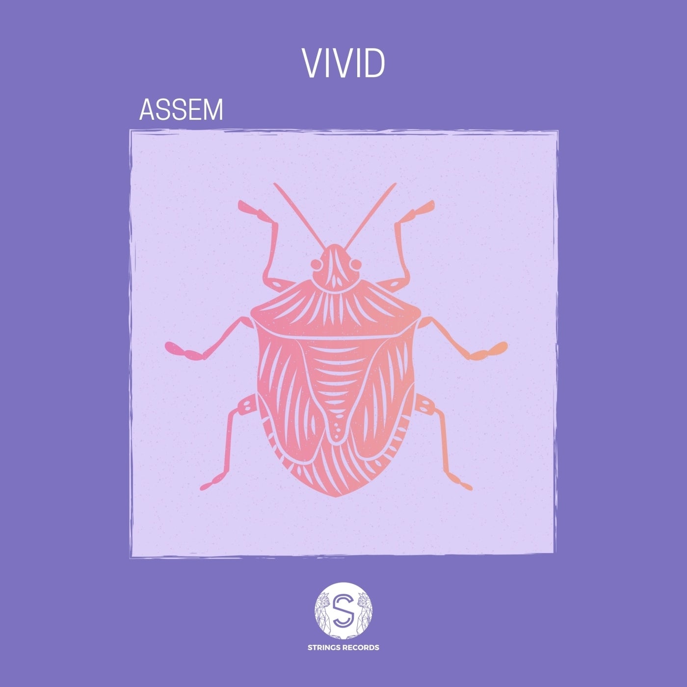 Vivid