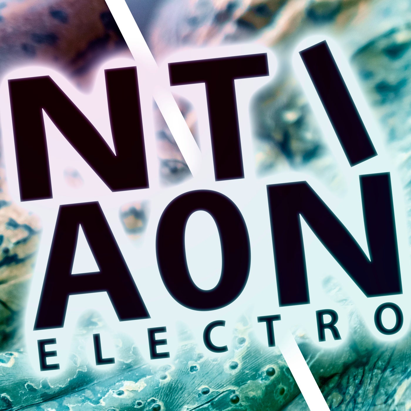 Cover art for Nation Electro