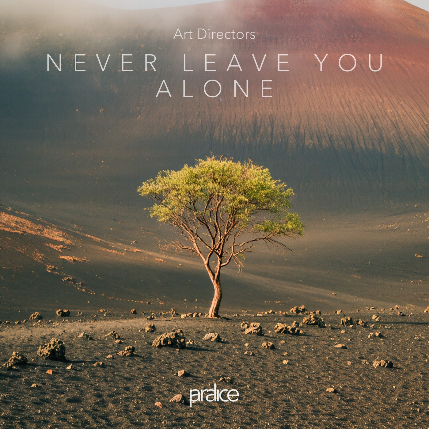 Never Leave You Alone (Extended Mix)