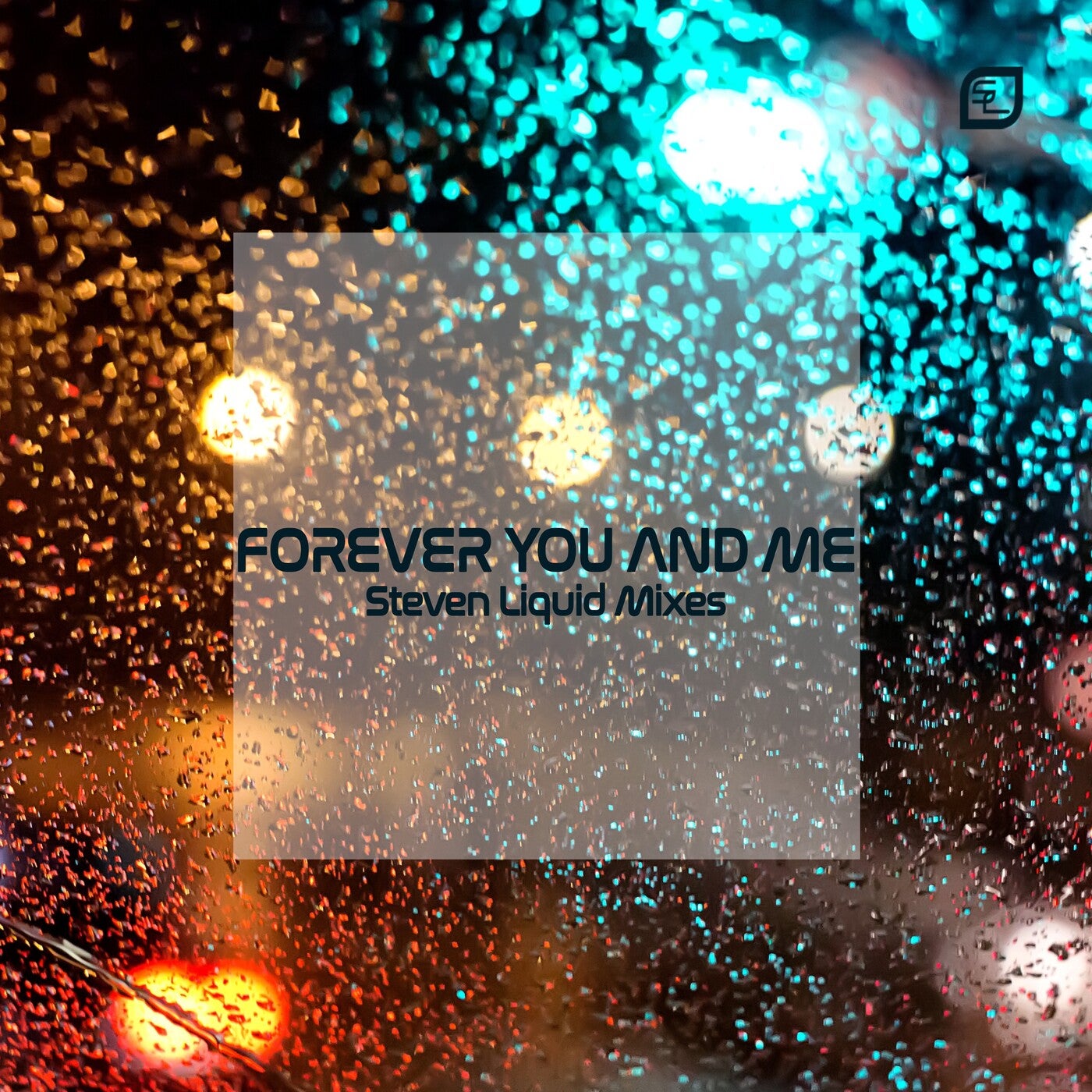 Forever You and Me (Steven Liquid Mixes)