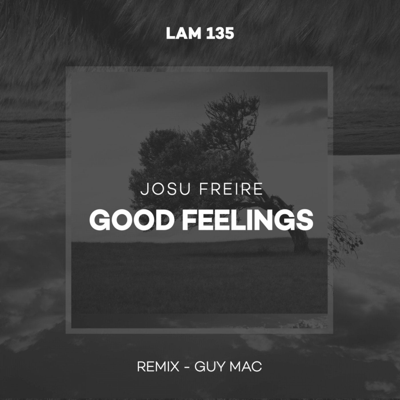 Feeling песня ремикс. Feeling good оригинал. Feeling good Некрасова. Timmo - feel good (Original Mix). Avicii_-_feel good.