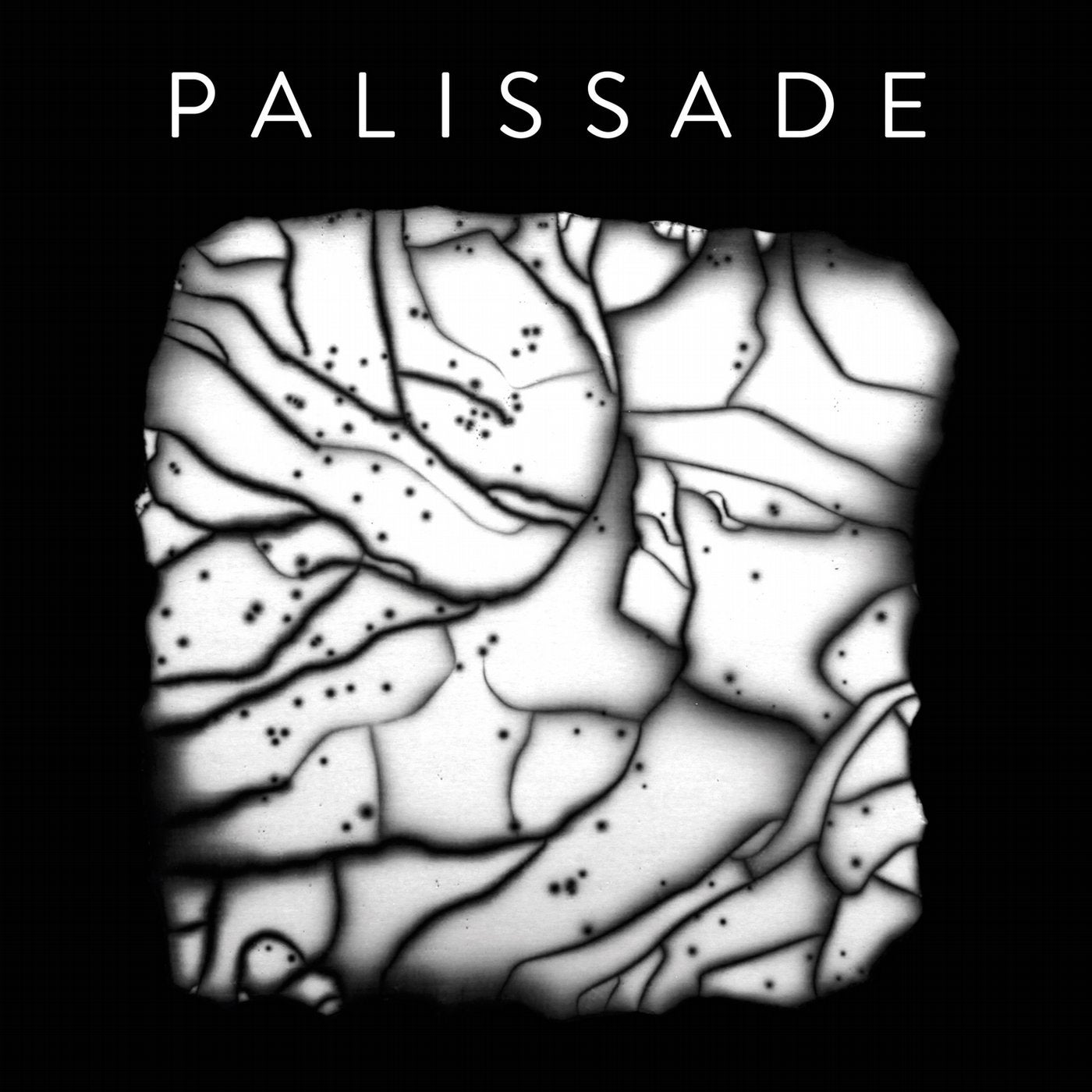 Palissade