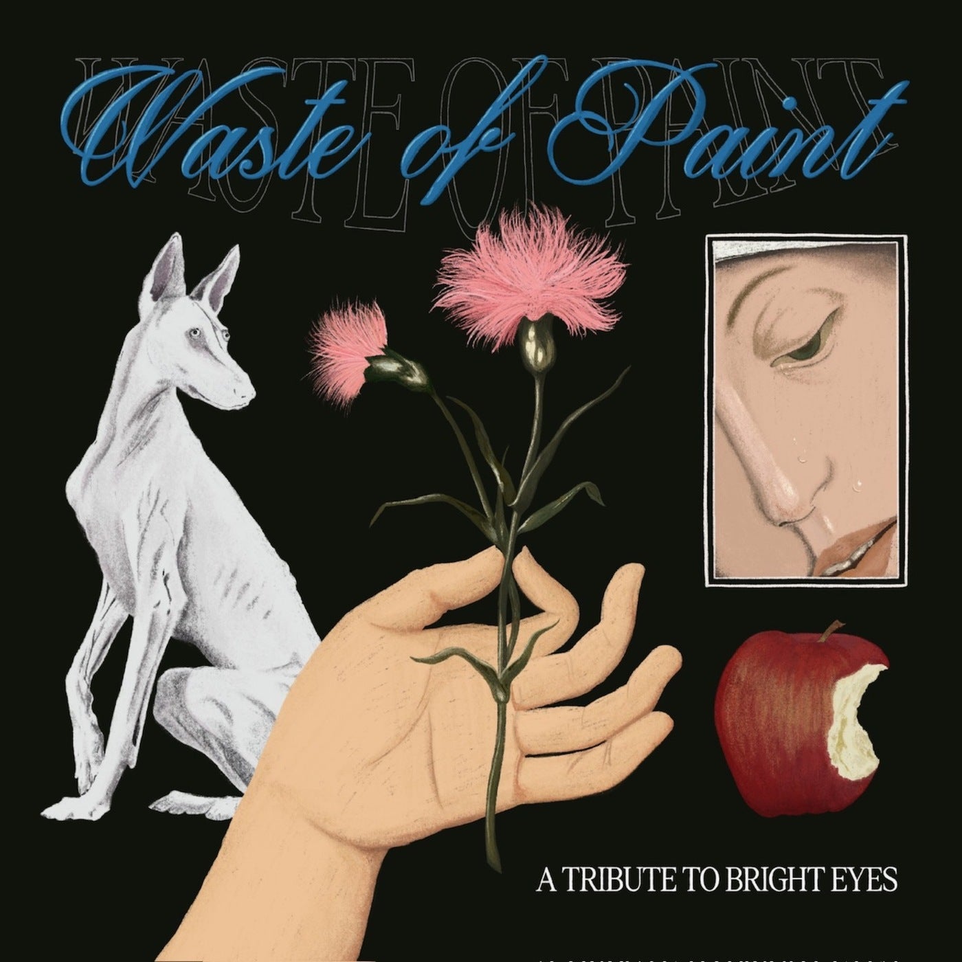 WASTE OF PAINT: A TRIBUTE TO BRIGHT EYES