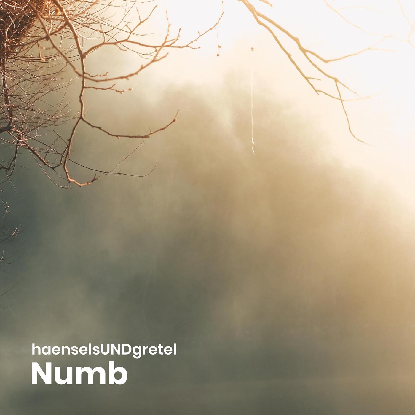 Numb