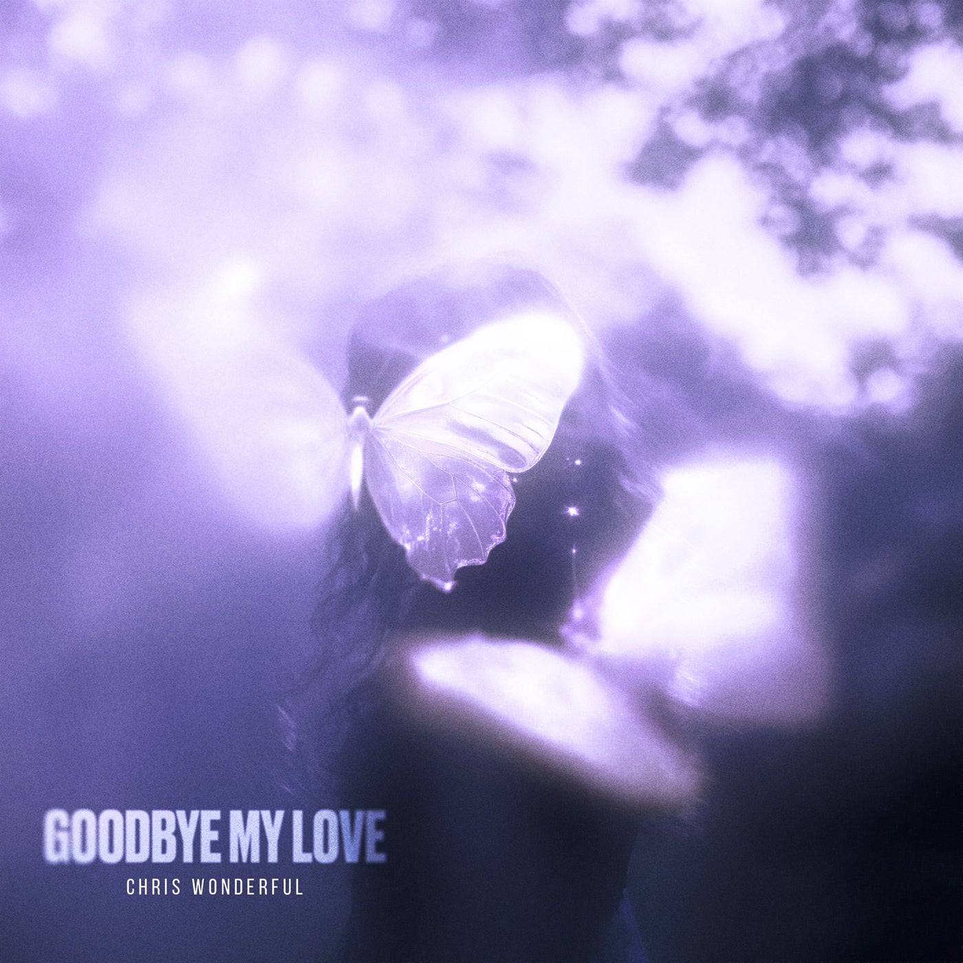 Goodbye My Love