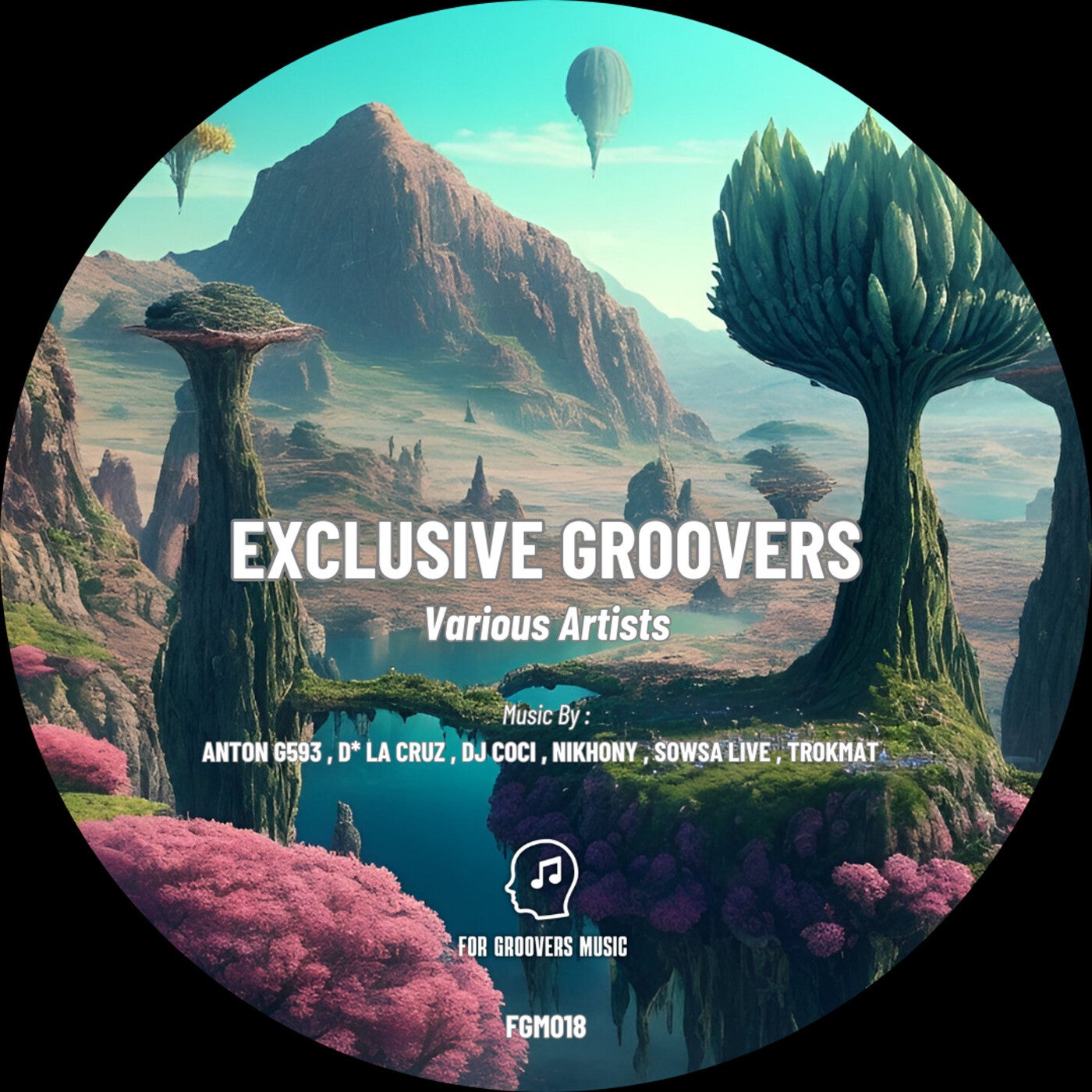 VA – Exclusive Groovers FGM018 VA – Exclusive Groovers FGM018