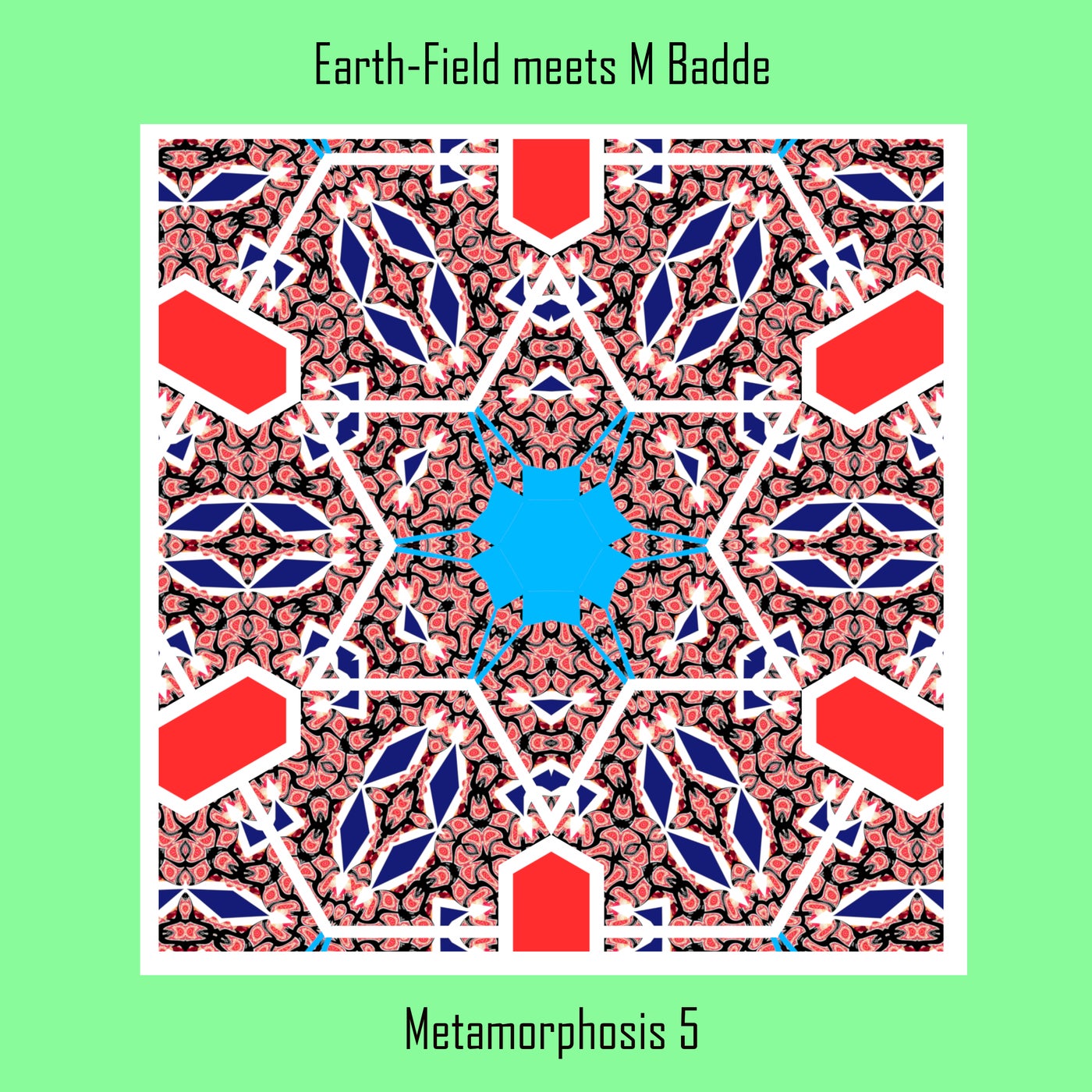 Metamorphosis 5