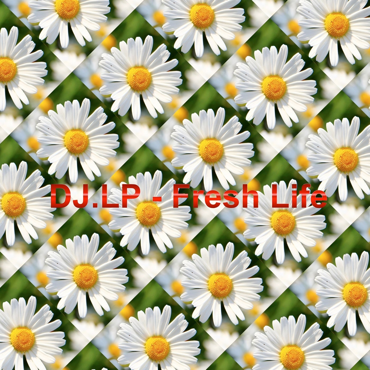 Fresh Life