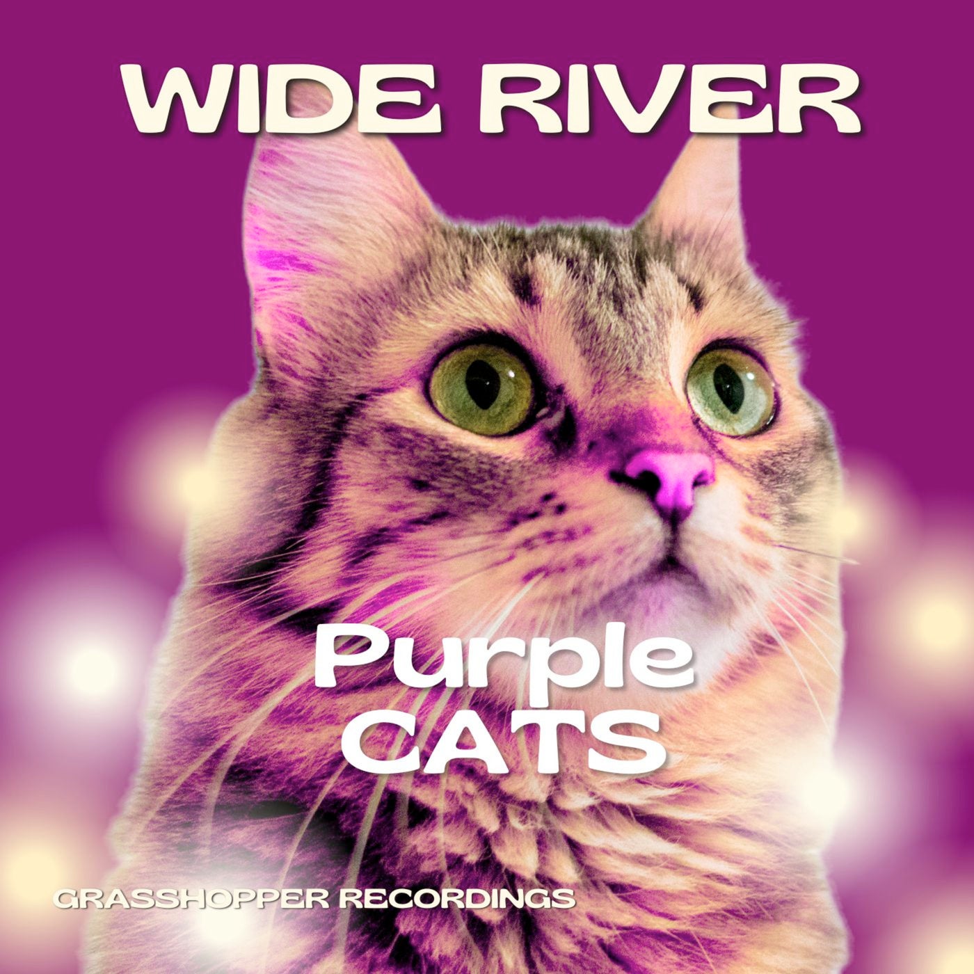 Purple Cats
