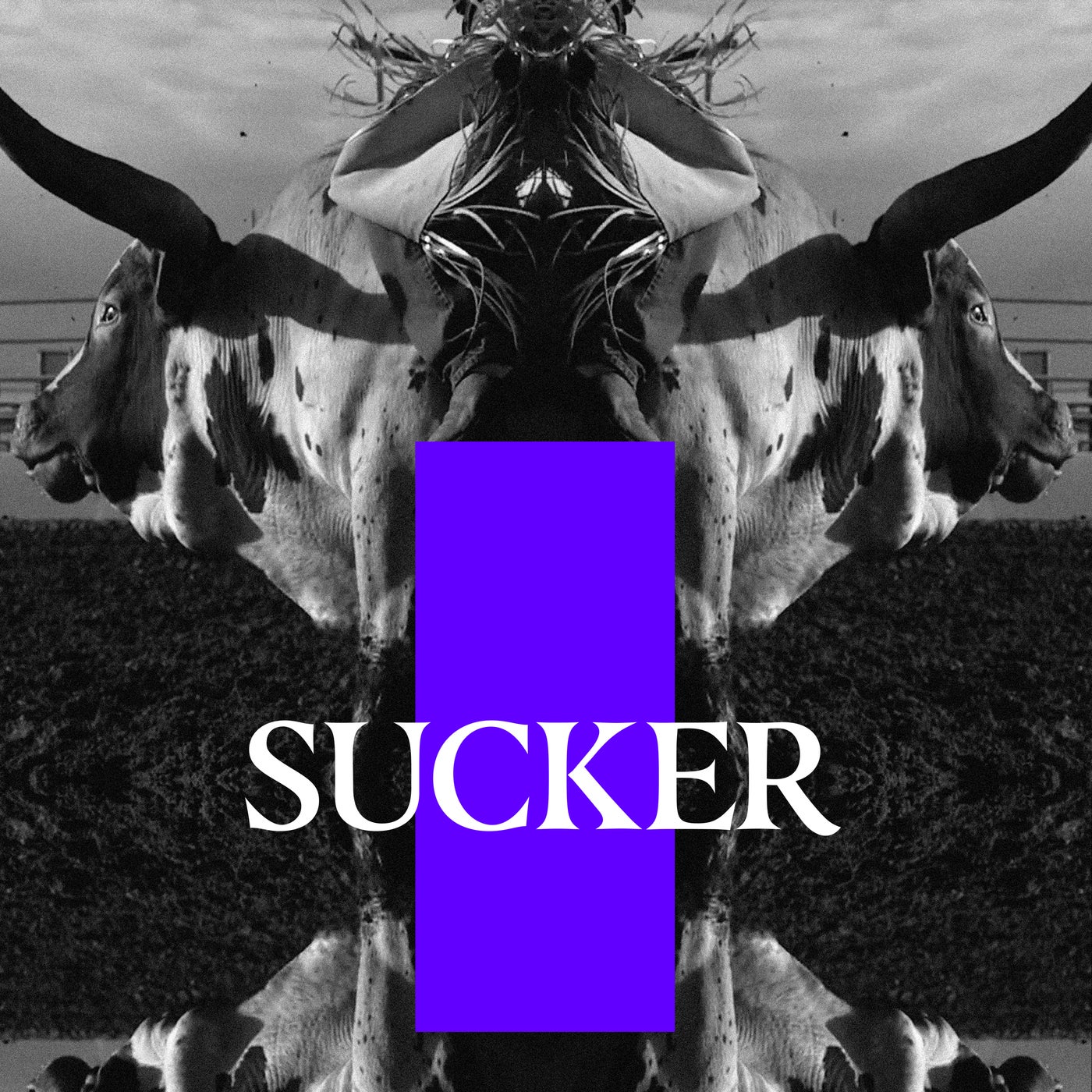 Sucker