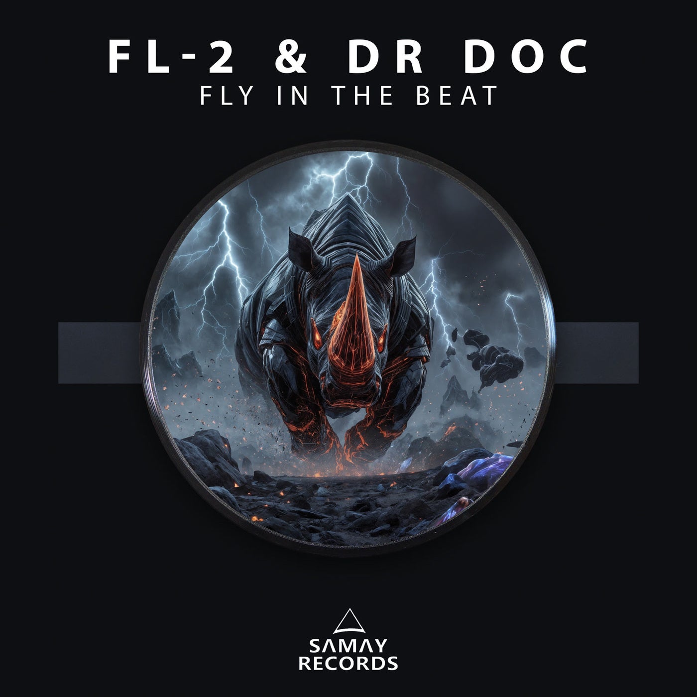 Fly In The Beat