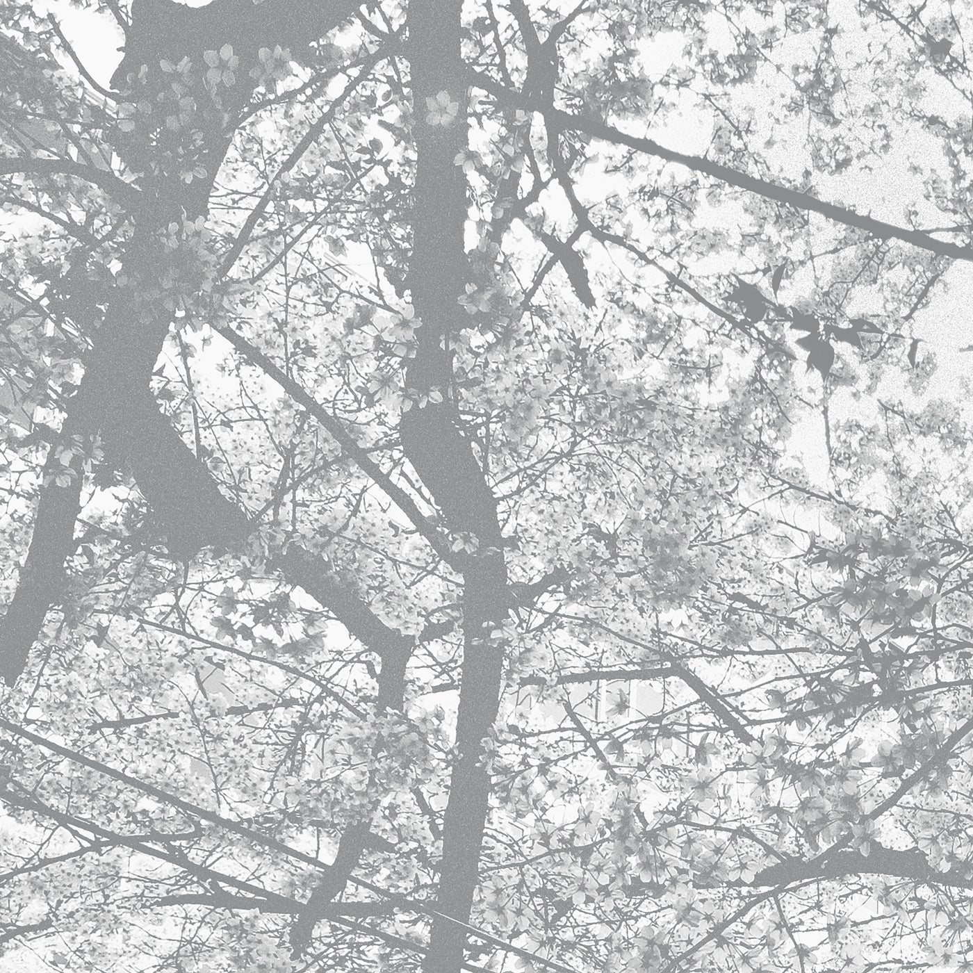 Obliteration Bliss