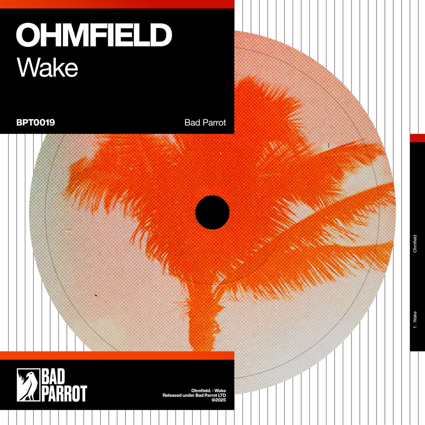 Wake
