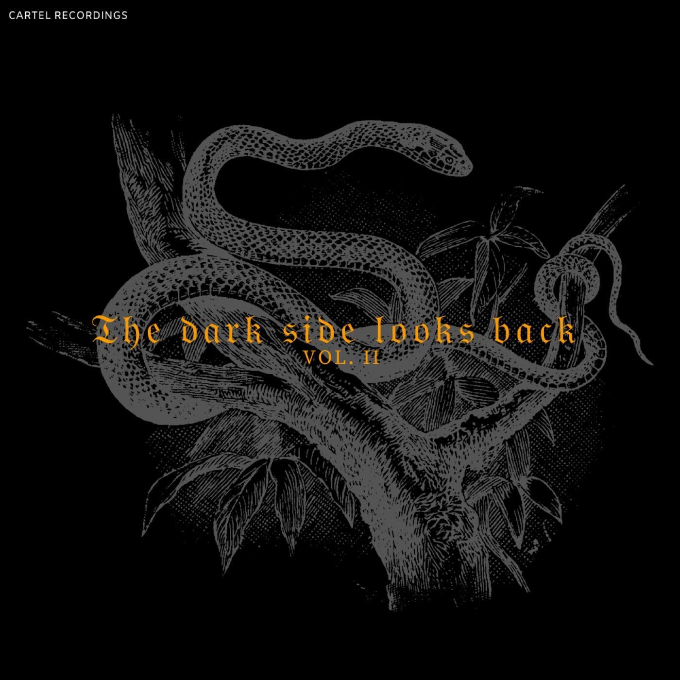 THE DARK SIDE LOOKS BACK - Vol. II