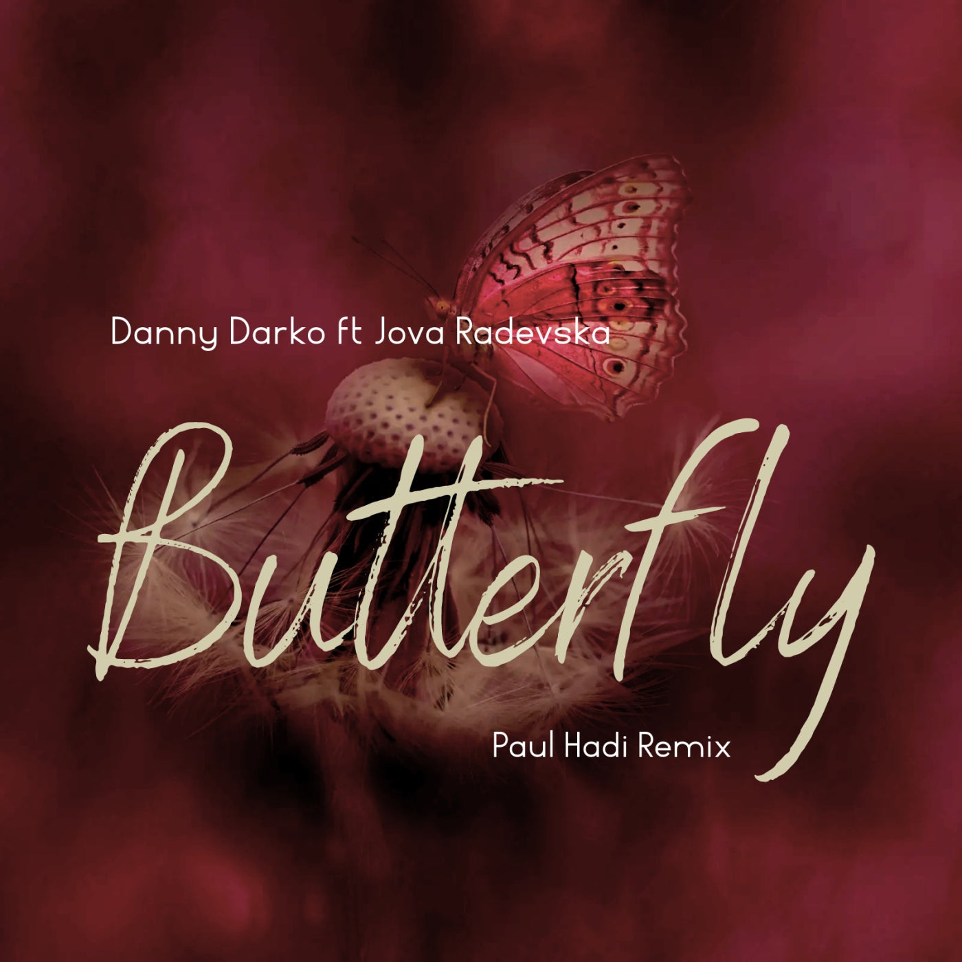 Butterfly (Paul Hadi Remix)