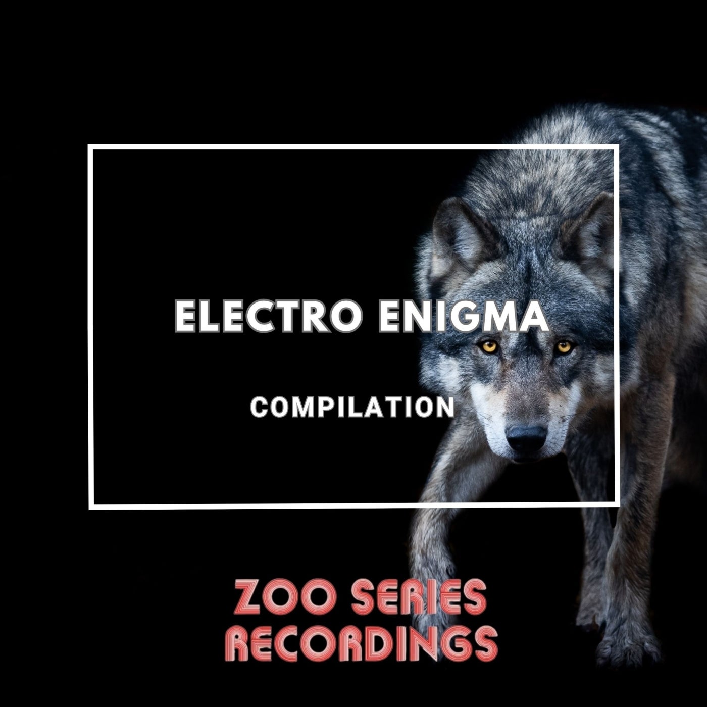 Electro Enigma
