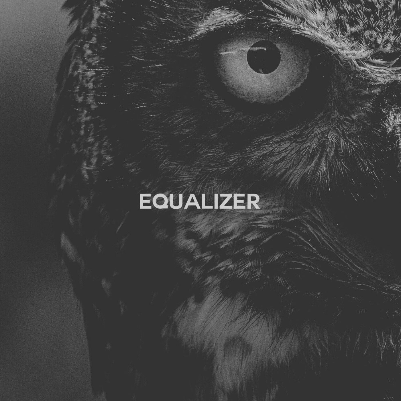 EQUALIZER