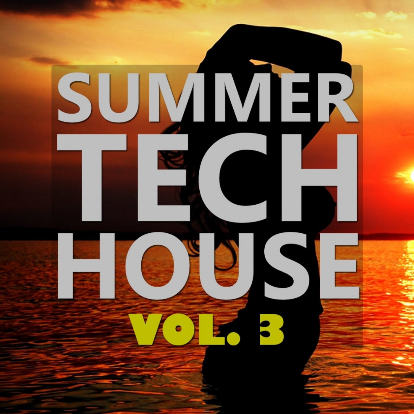 Summer Tech House, Vol. 3