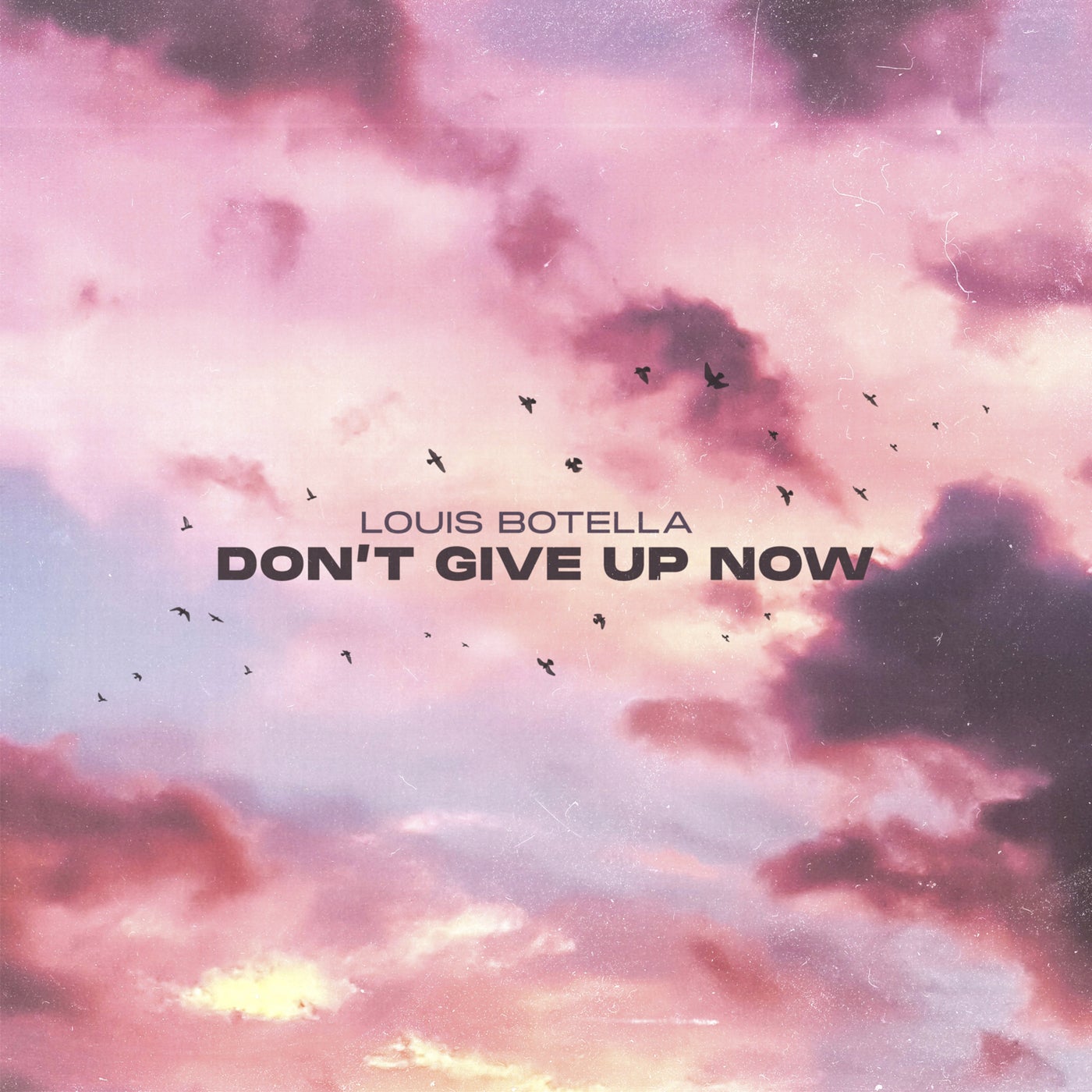 Don't Give Up Now