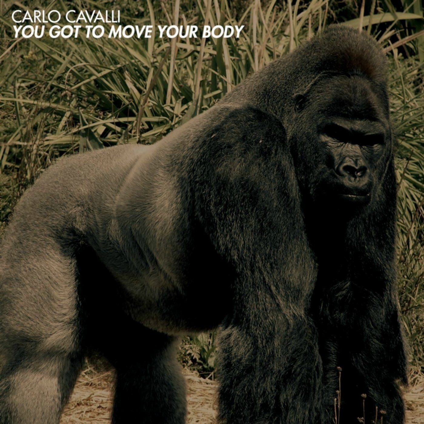 You Got To Move Your Body
