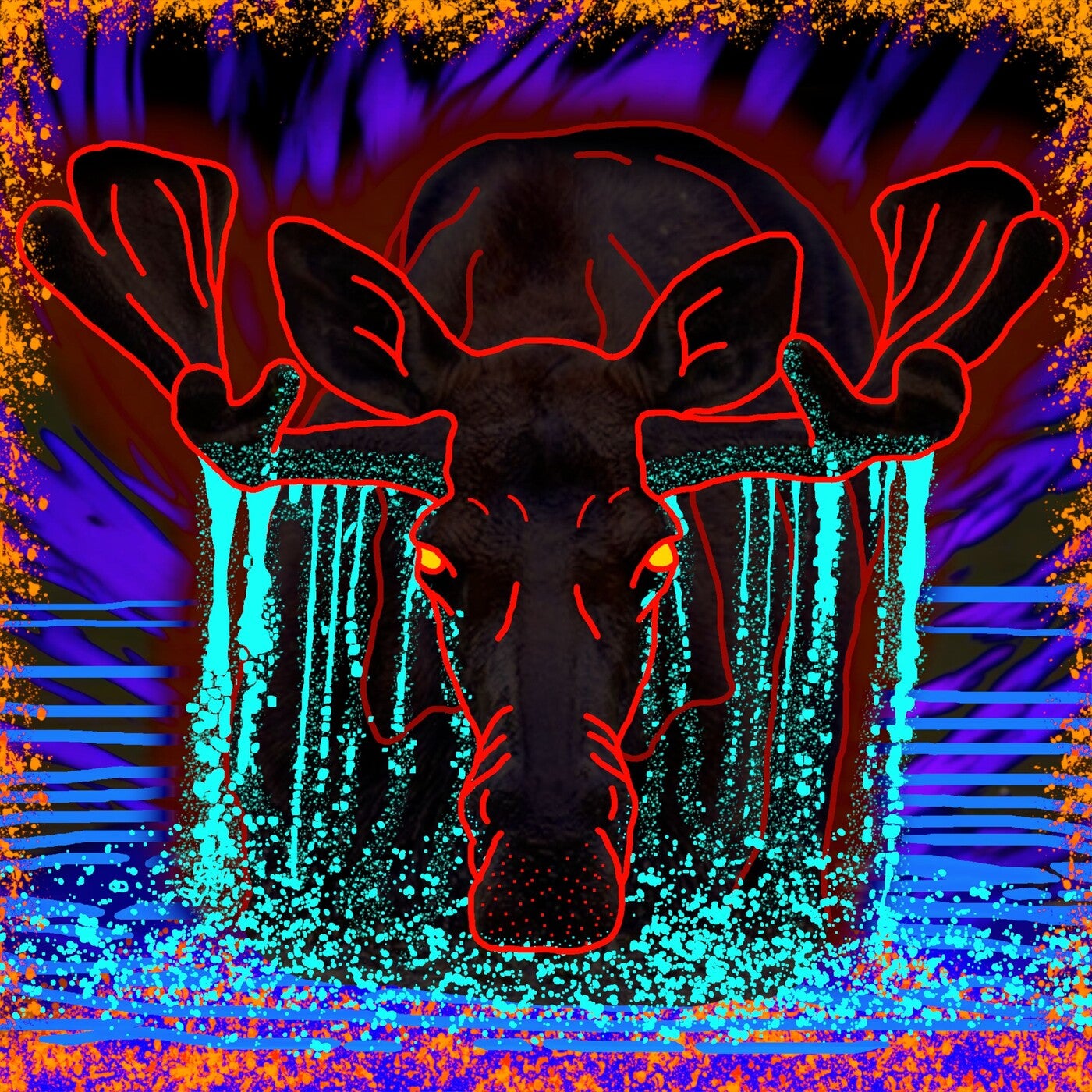 Moose on the Loose