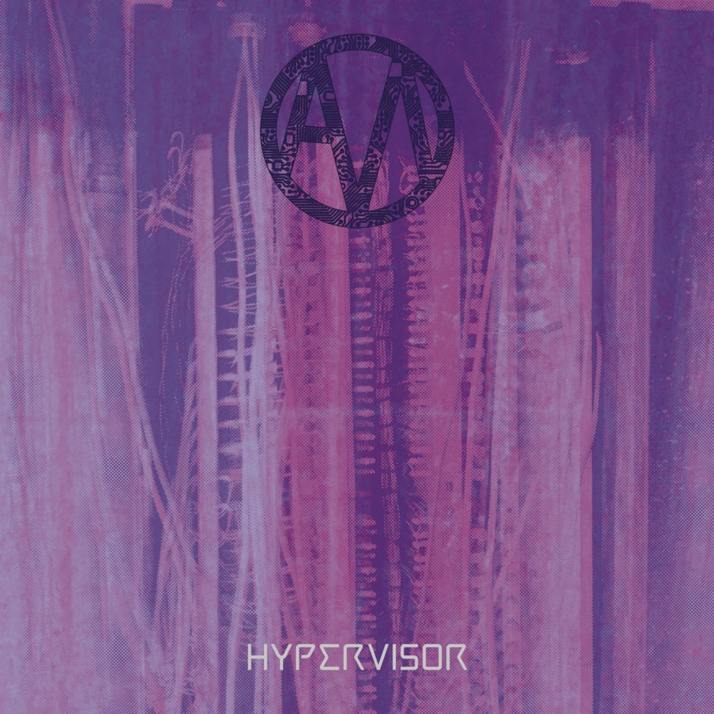 Hypervisor