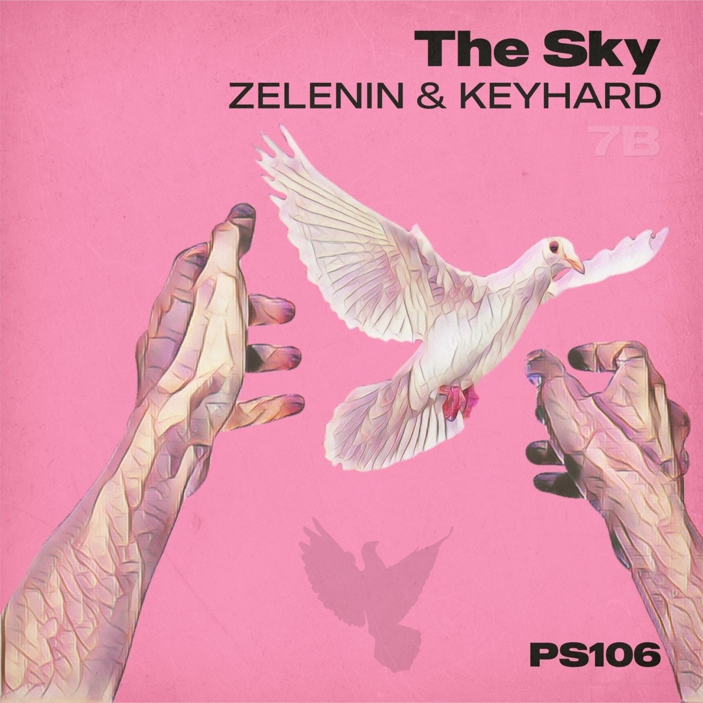 The Sky
