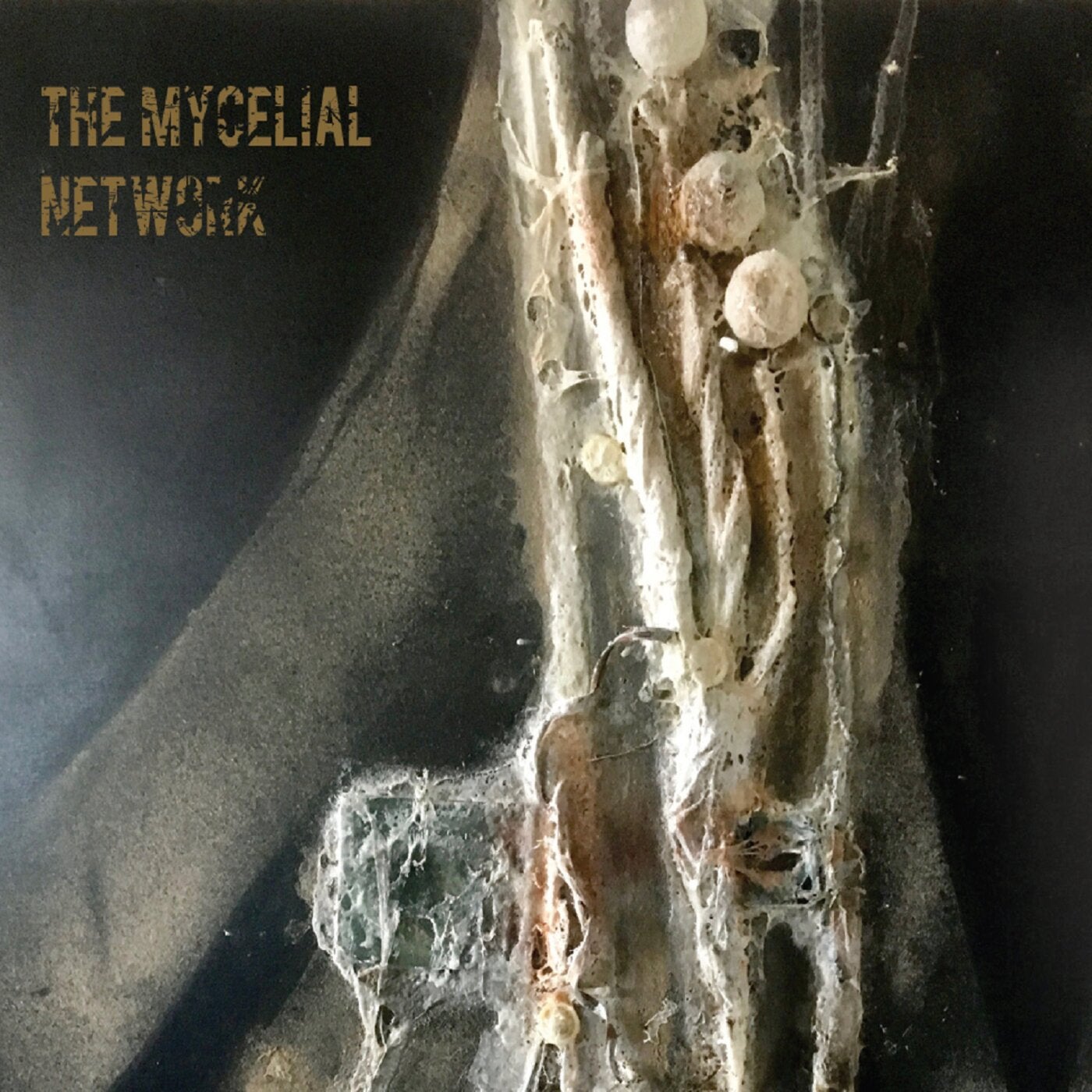 The Mycelial Network