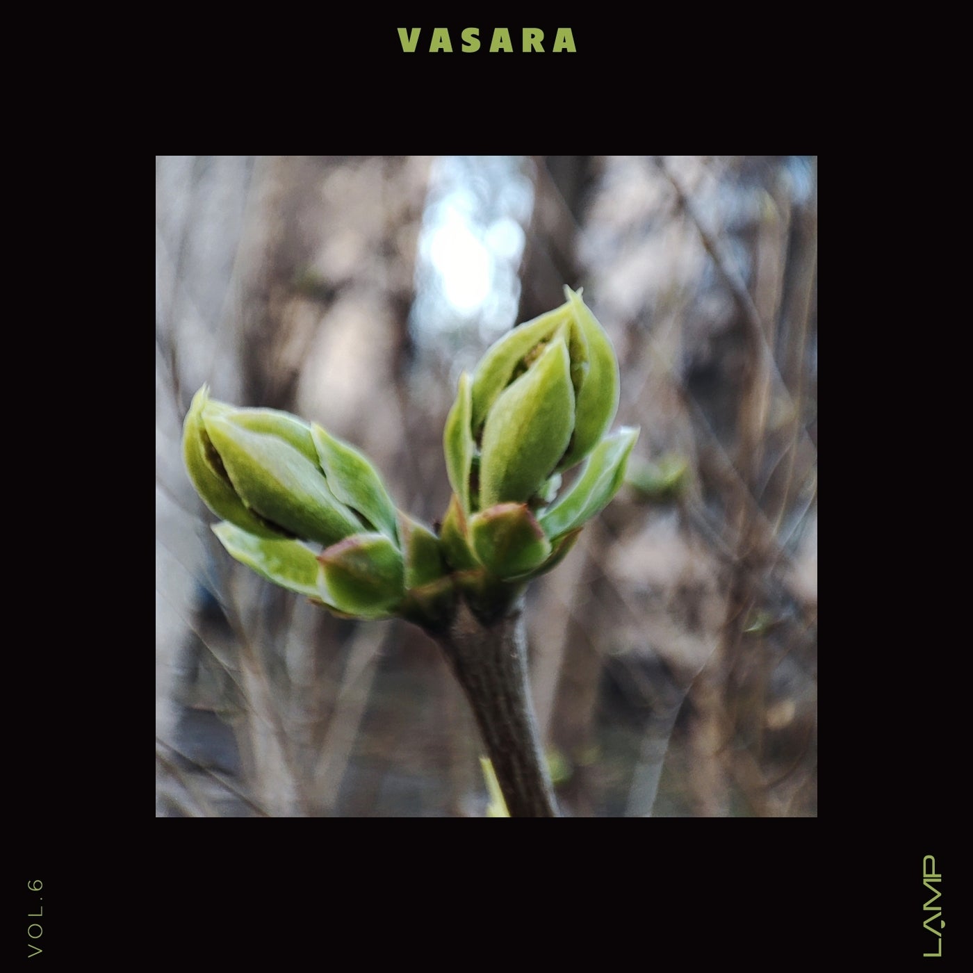 Vasara, Vol. 6