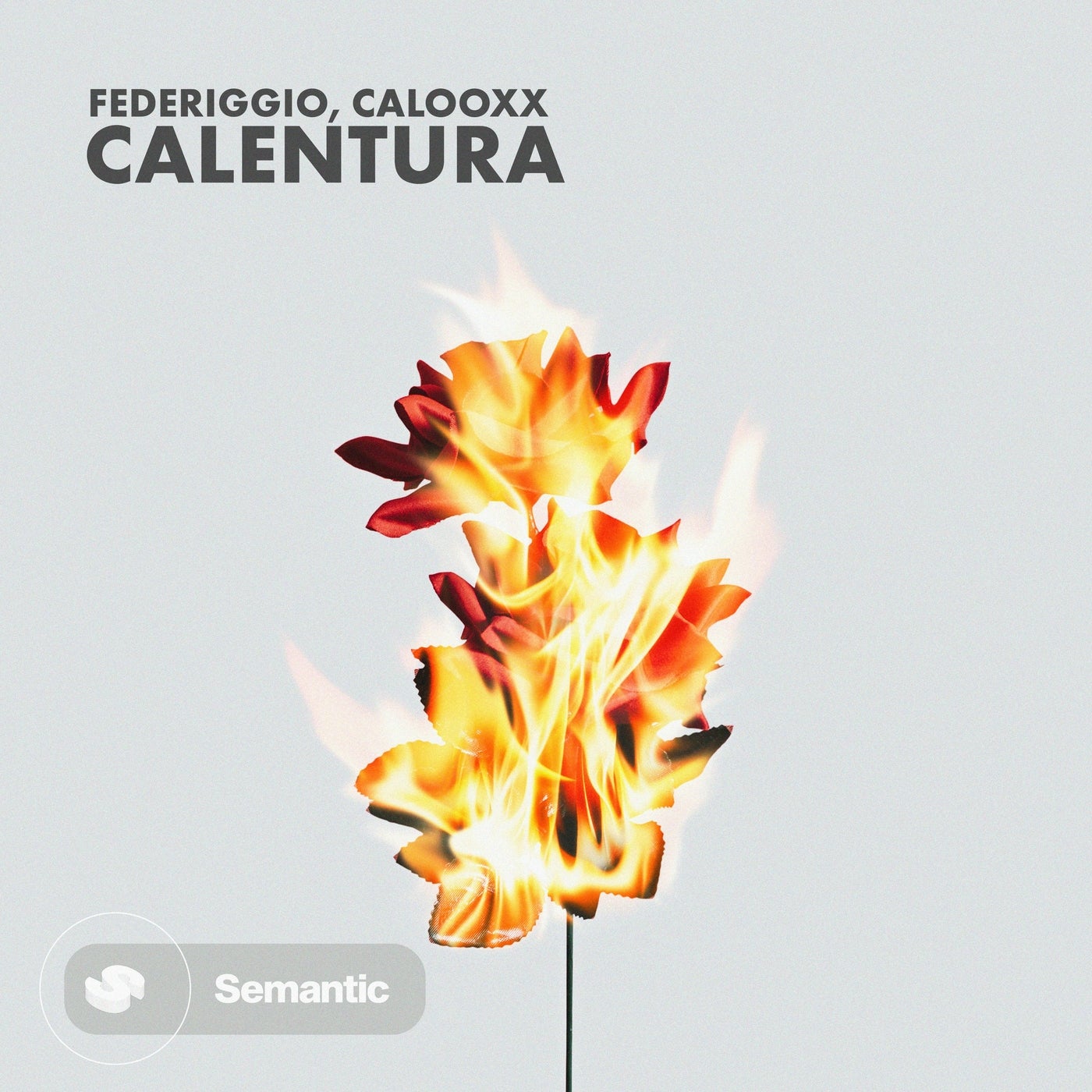 Calentura