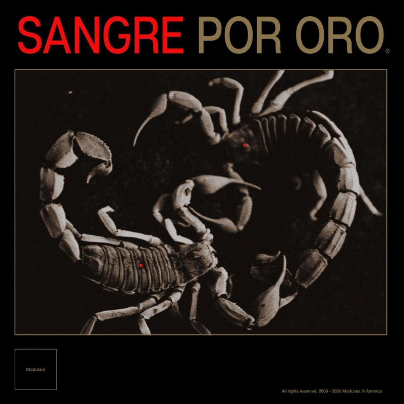 Sangre Por Oro