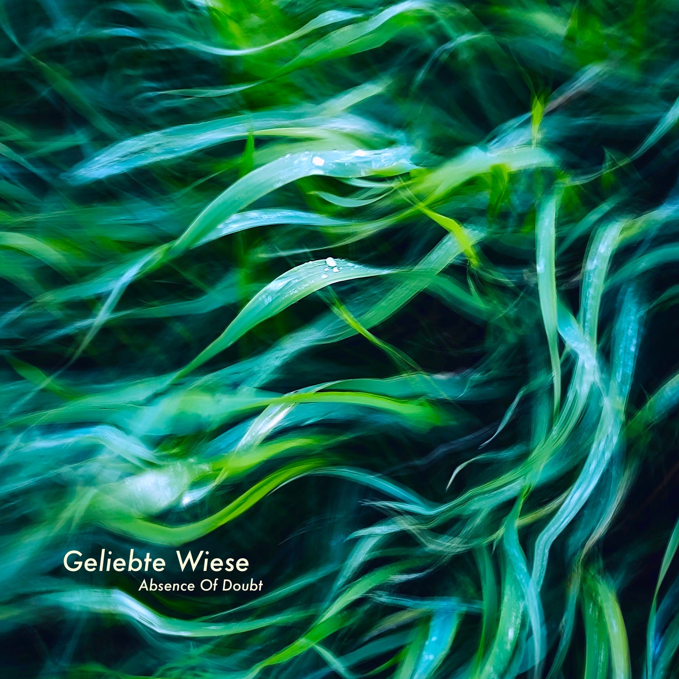 Geliebte Wiese