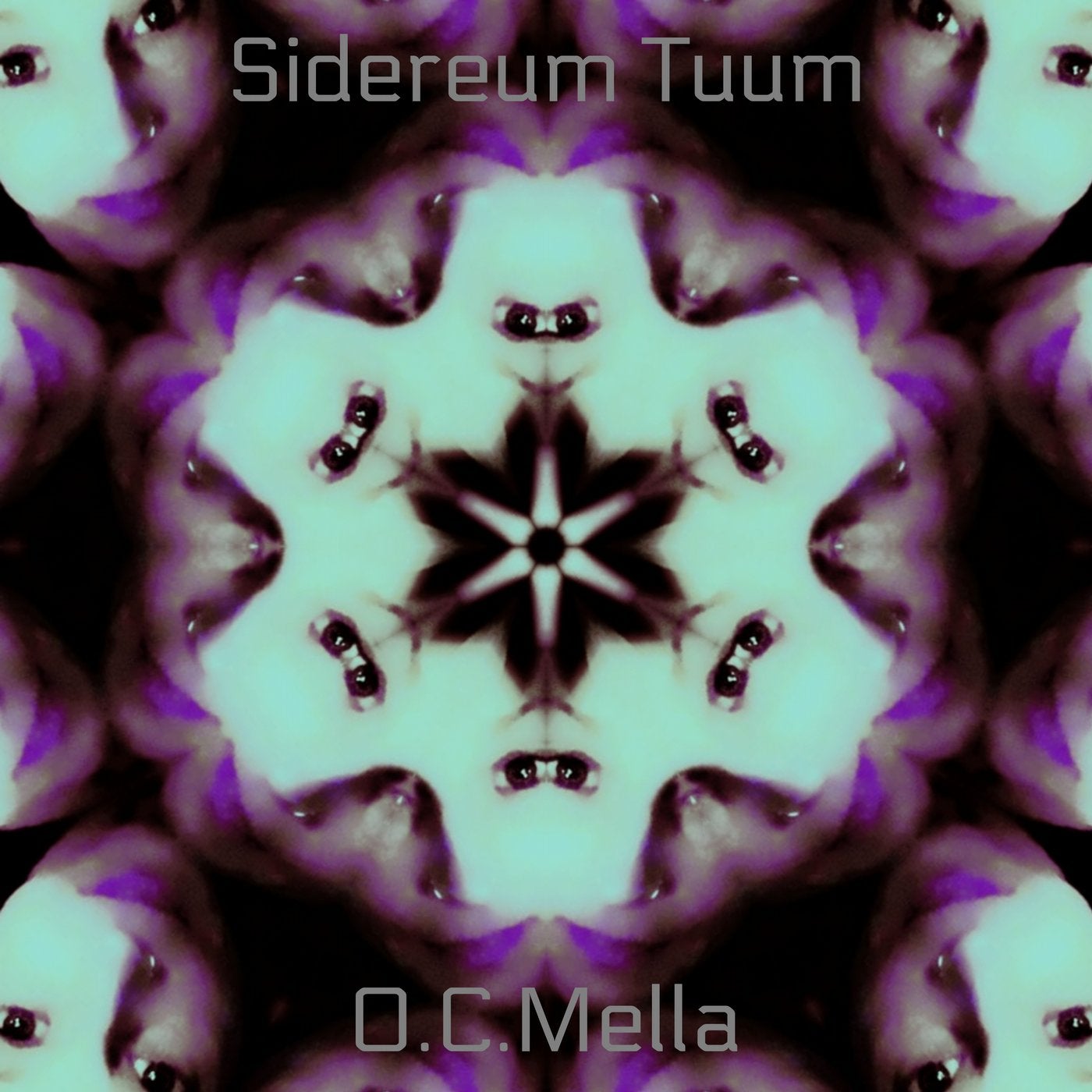 Sidereum Tuum