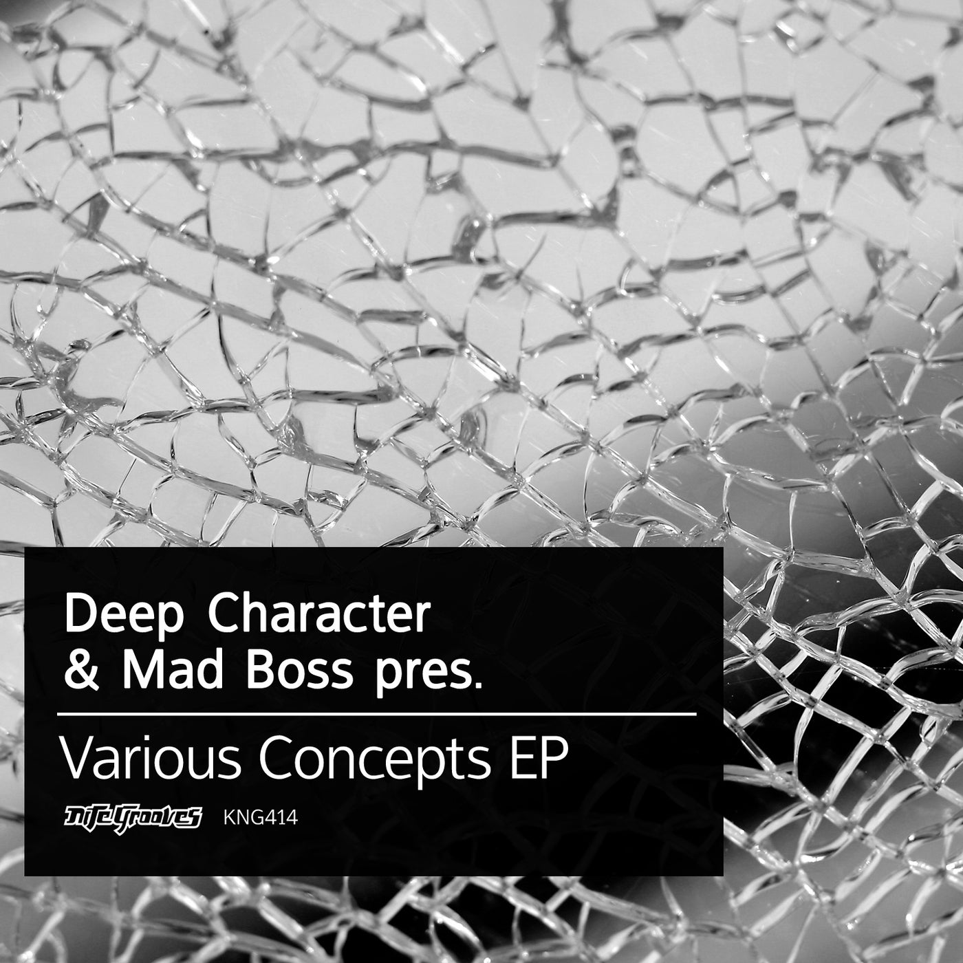 Various Concepts EP