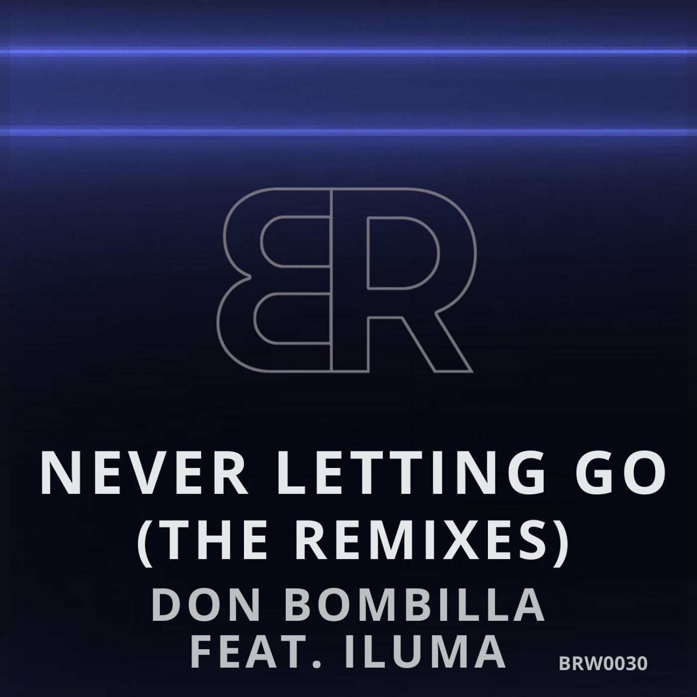 Never Letting Go (The Remixes)