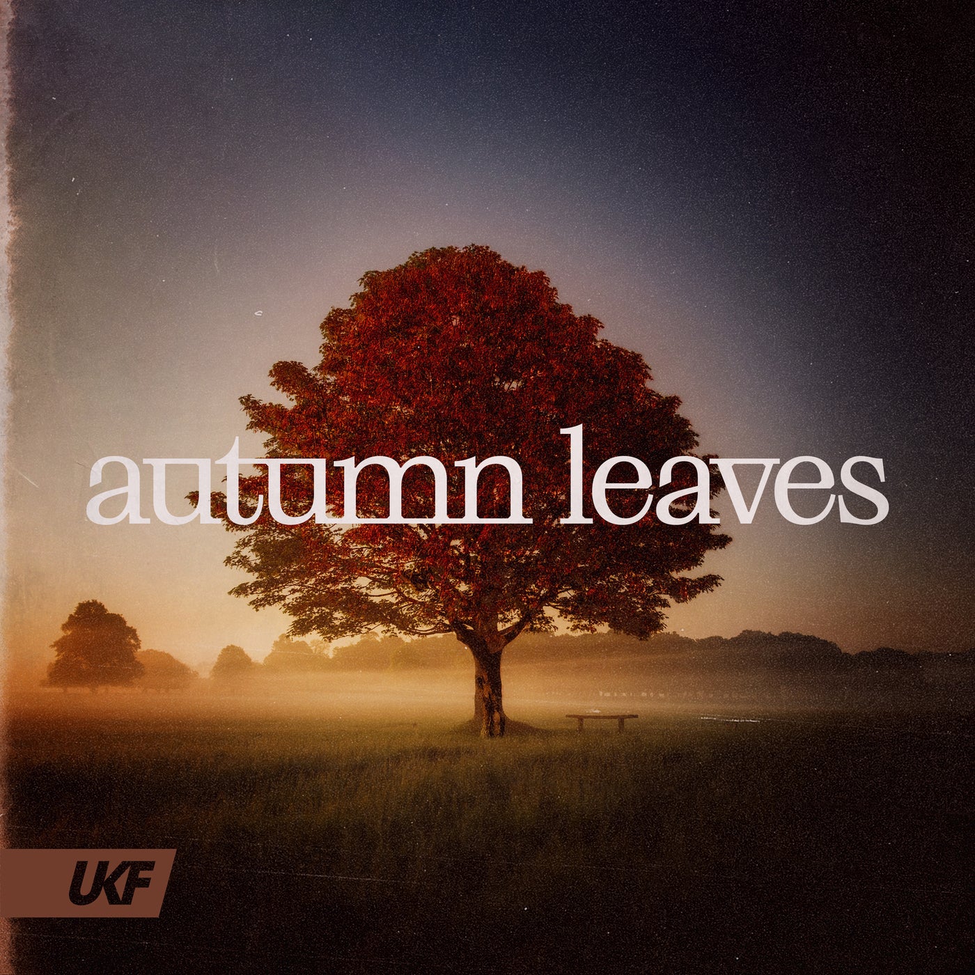 Autumn Leaves