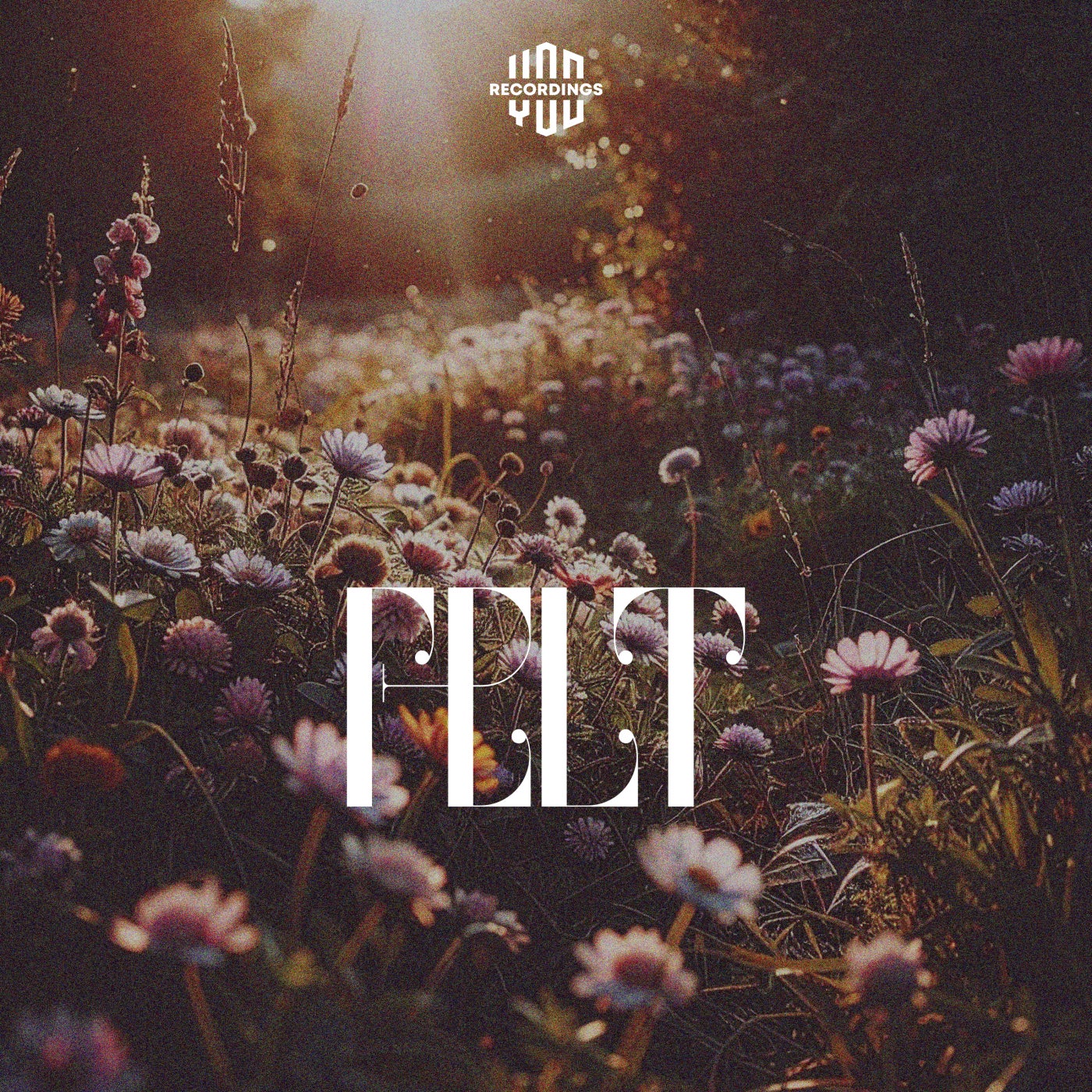 Felt
