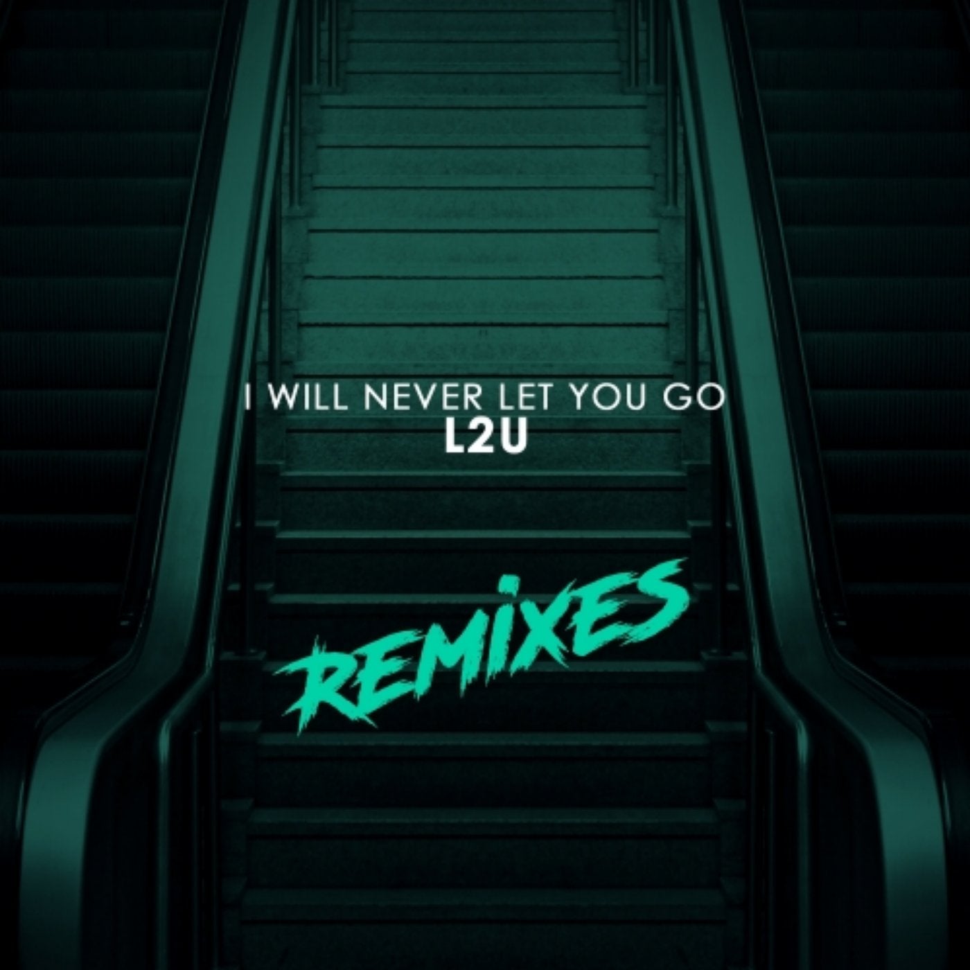 I Will Never Let You Go (Remixes)