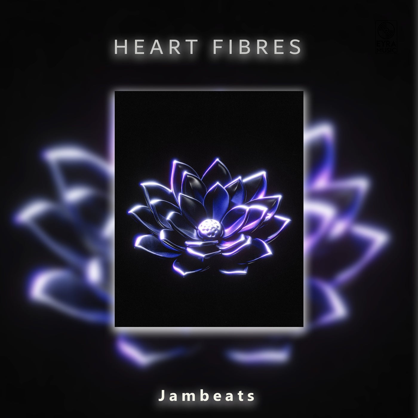 Heart Fibres