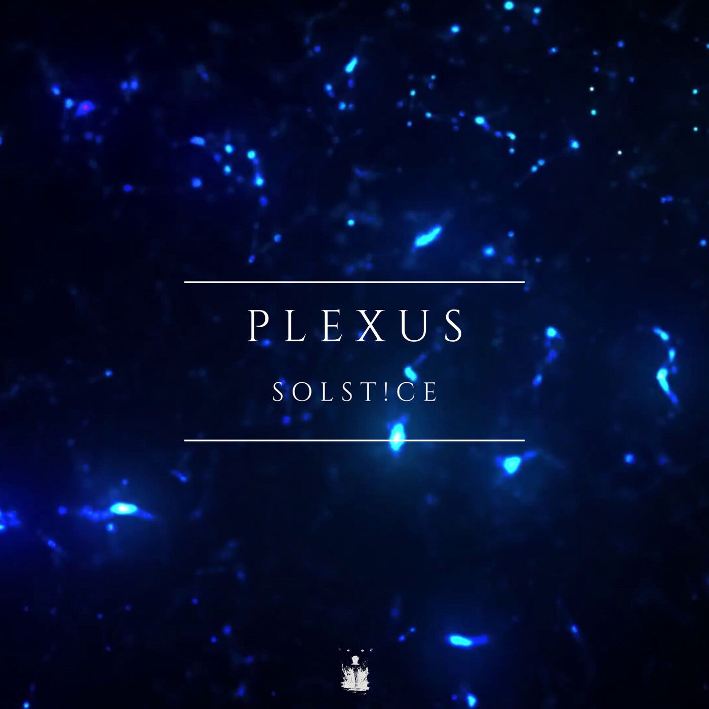 Plexus