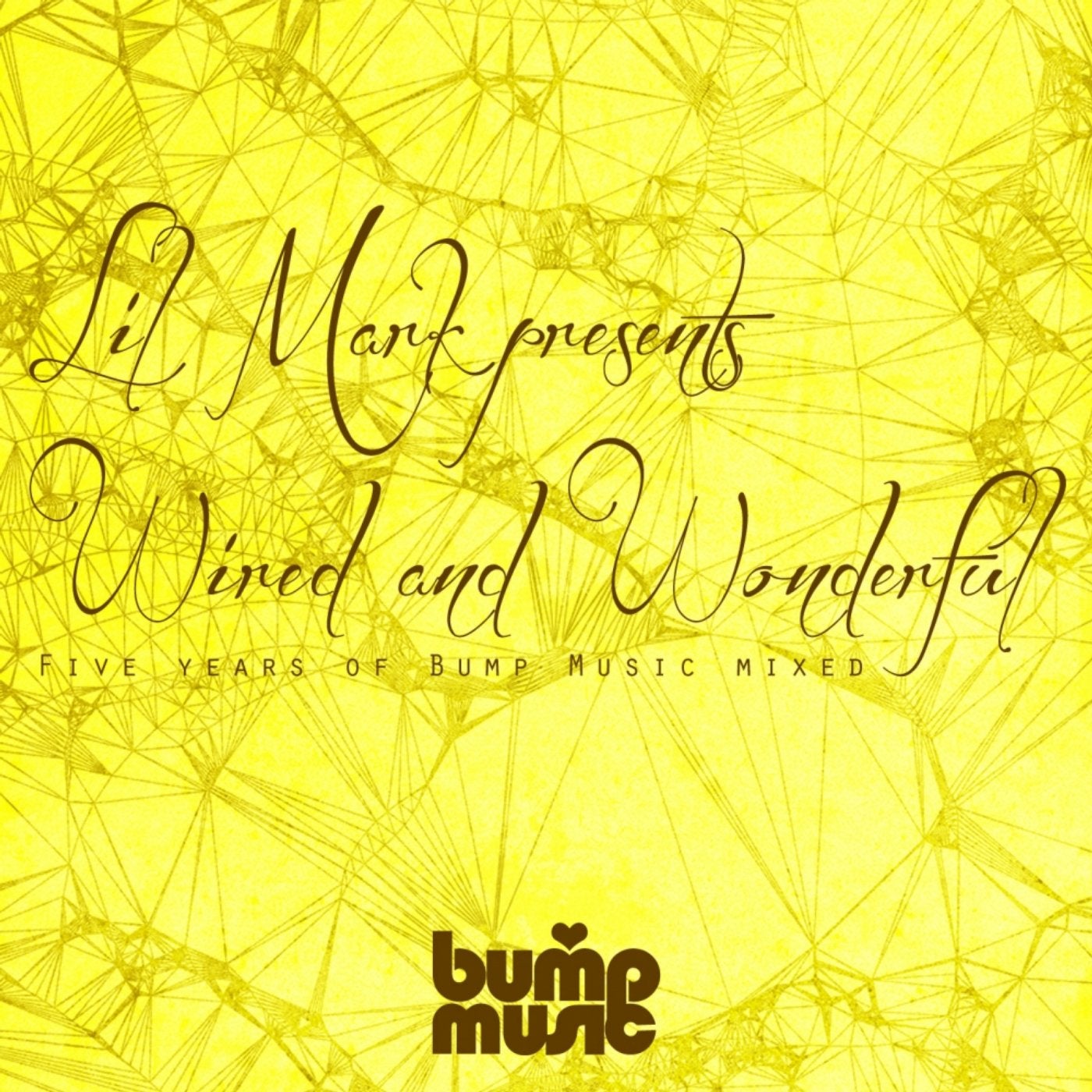 Lil Mark Presents Wired & Wonderful 5 Years of Bump Music