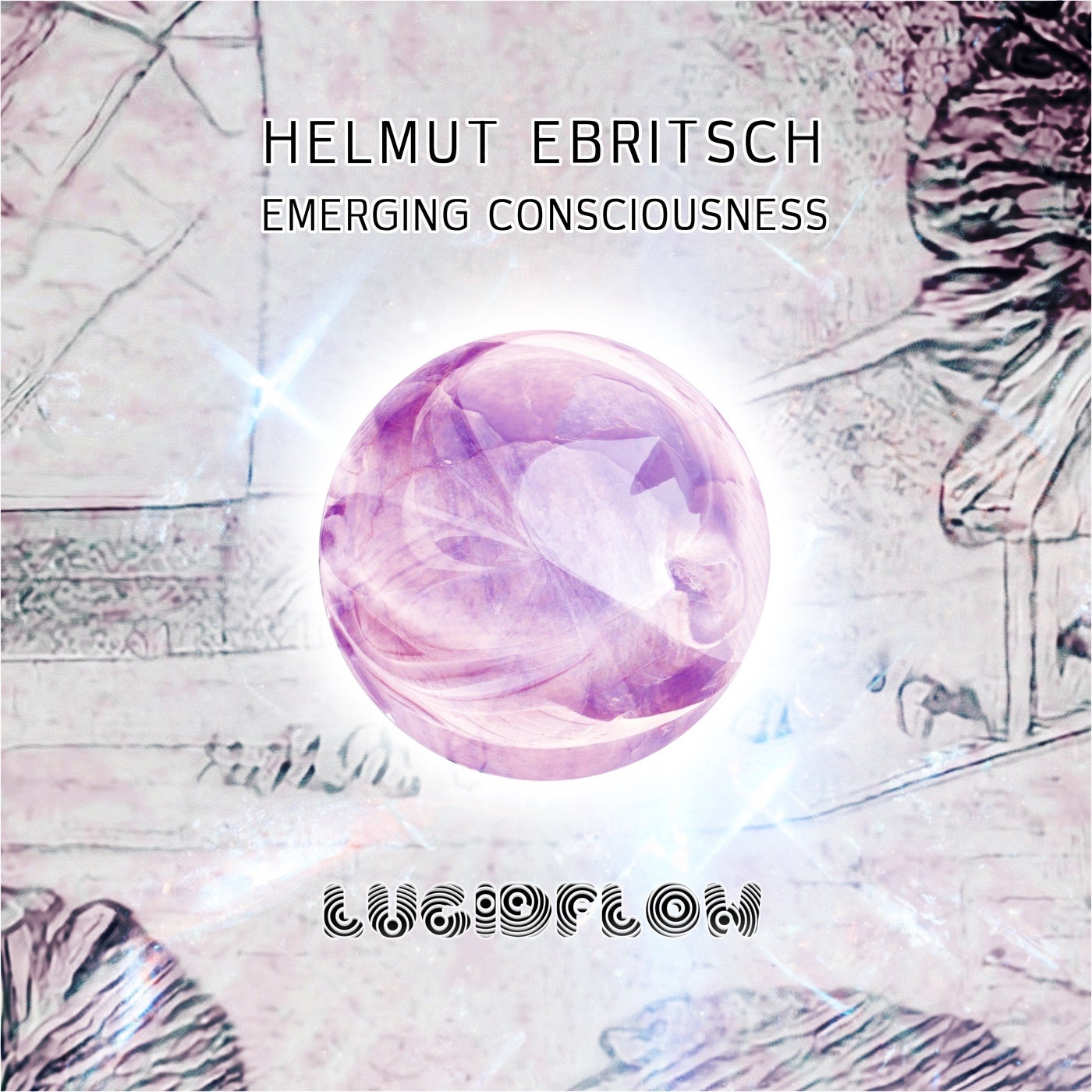 Emerging Consciousness