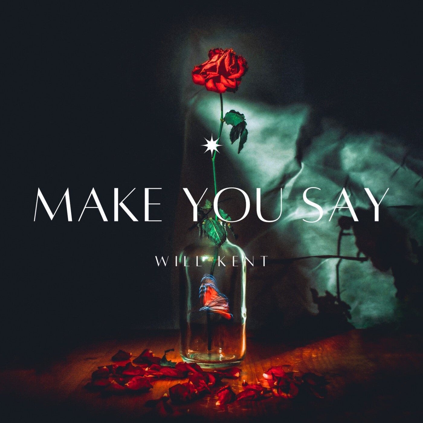 Make you say (radio edit)