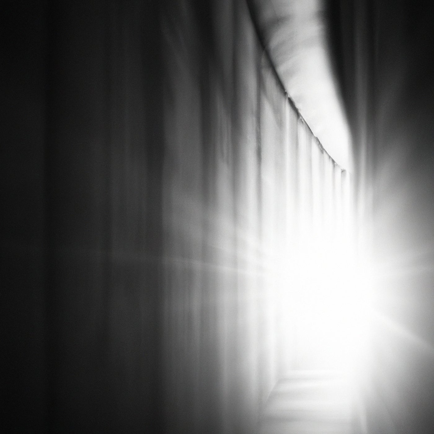 I See the Light