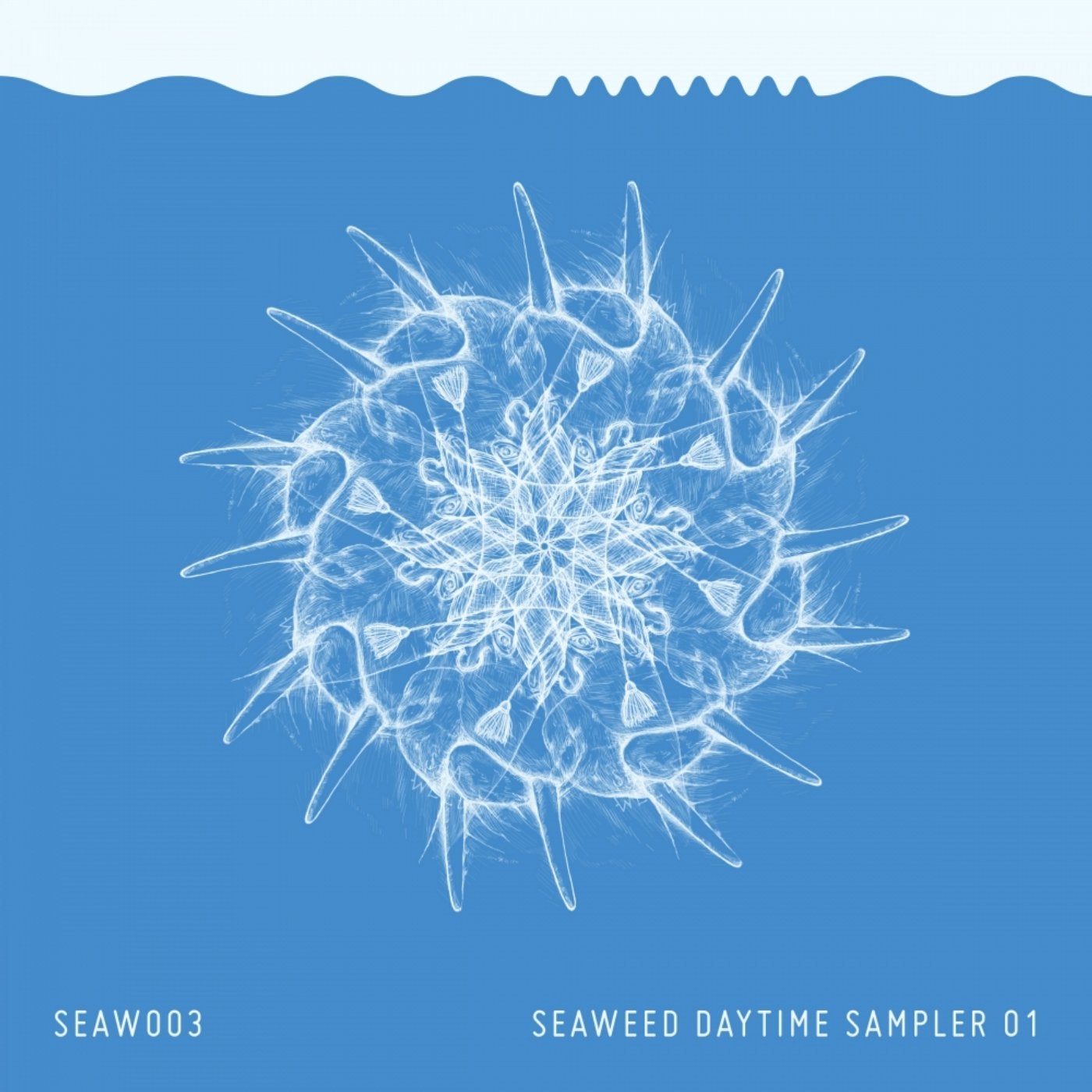 Seaweed Daytime Sampler 1